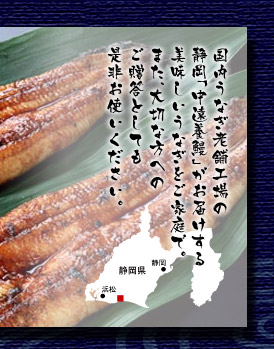 うなぎ蒲焼　中遠養鰻　長焼き写真2